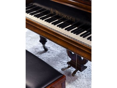 Apartment Palazzo Fosca Prestige Terrace - Features photo 29