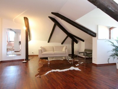 Apartment Grand Canal Loft Terrace - Features photo 10