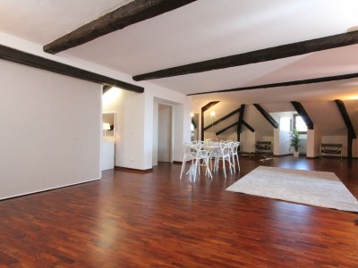 Apartment Grand Canal Loft Terrace - Features photo 11