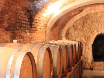 Holiday apartment Freisa in the Villa Pesce - Environment photo 12