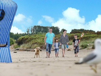 Holiday park Blockhaus im Ostseeresort Dampland - Environment photo 16