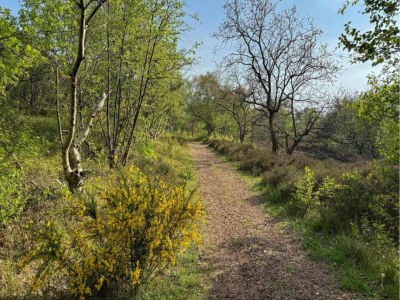 Holiday house Relax Cozy Dirkshorn Stay - Environment photo 20