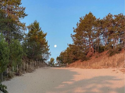 Holiday house Relax Cozy Dirkshorn Stay - Environment photo 21