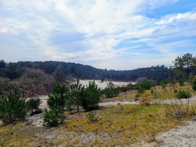 Holiday house Relax Cozy Dirkshorn Stay - Environment photo 23