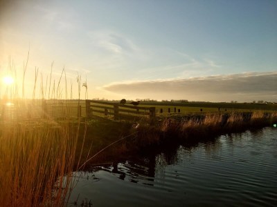 Holiday house Relax Cozy Dirkshorn Stay - Environment photo 31