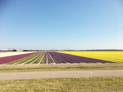 Holiday house Relax Cozy Dirkshorn Stay - Environment photo 33