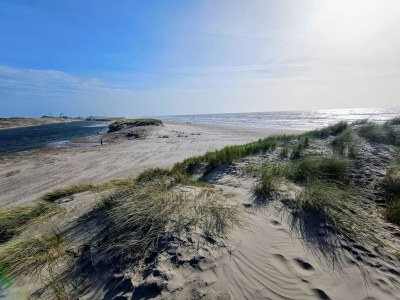 Holiday house Relax Cozy Dirkshorn Stay - Environment photo 35