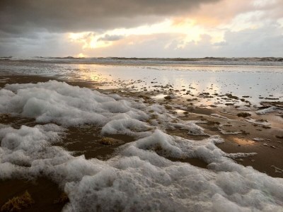 Holiday house Relax Cozy Dirkshorn Stay - Environment photo 37