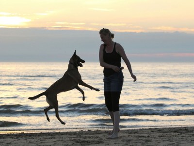 Holiday park Holiday Home in Noordwijk with Sunny Garden - Environment photo 28