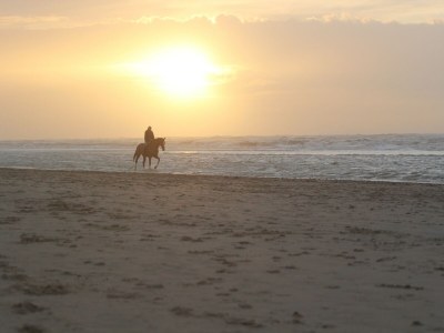 Holiday park Holiday Home in Noordwijk with Sunny Garden - Environment photo 32