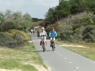 Holiday park Holiday Home in Noordwijk with Sunny Garden - Environment photo 33