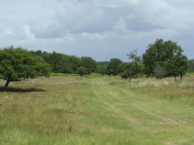 Holiday park Holiday Home in Noordwijk with Sunny Garden - Environment photo 34