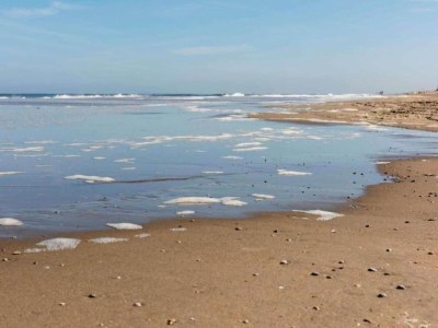 Holiday park Chalet in Noordwijk nahe dem Strand - Environment photo 13