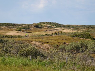 Holiday park Chalet in Noordwijk nahe dem Strand - Environment photo 19