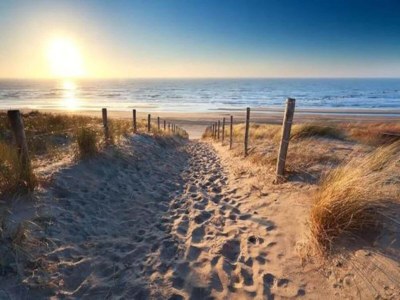 Holiday park Chalet in Noordwijk nahe dem Strand - Environment photo 25