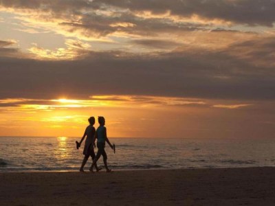 Holiday park Chalet in Noordwijk nahe dem Strand - Environment photo 30