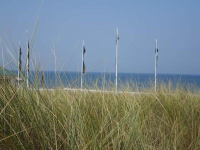 Holiday park Chalet in Noordwijk nahe dem Strand - Environment photo 32