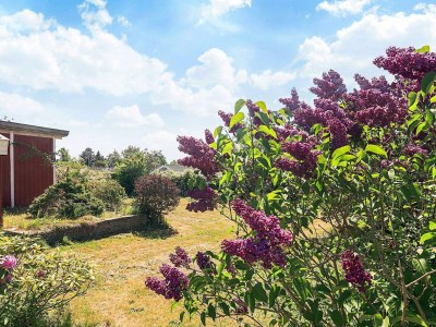 Holiday house 5 Personen Ferienhaus in Bogø By-By Traum - Outdoor photo 5