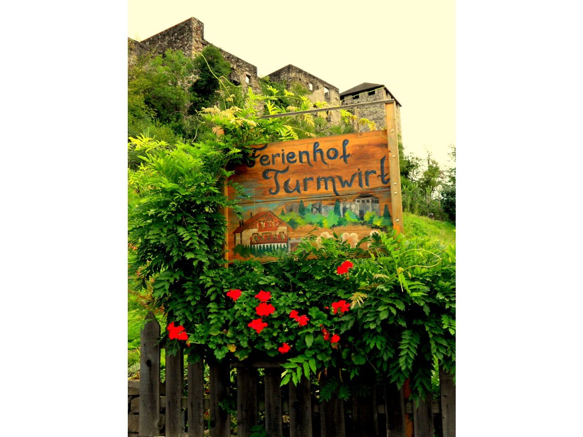 Holiday apartment Farm Turmwirt - Gala - Outdoor photo 5