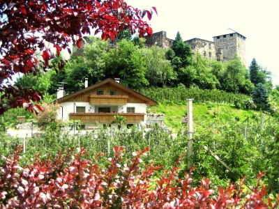 Holiday apartment Farm Turmwirt - Gala - Outdoor photo 4