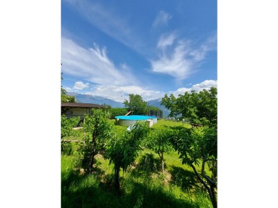 Holiday apartment Farm Turmwirt - Gala - Outdoor photo 14