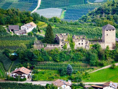 Holiday apartment Farm Turmwirt - Gala - Outdoor photo 19