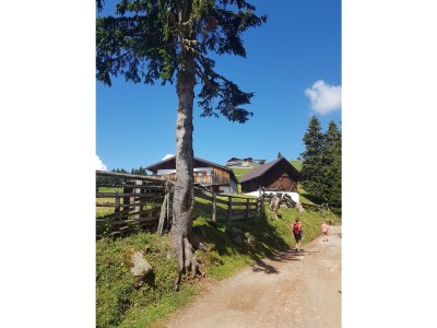 Holiday apartment Farm Turmwirt - Gala - Environment photo 30