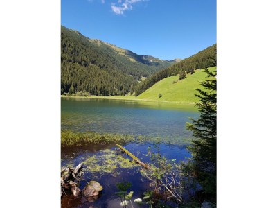 Holiday apartment Farm Turmwirt - Gala - Environment photo 31