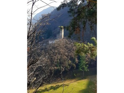 Holiday apartment Farm Turmwirt - Gala - Environment photo 32