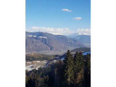 Holiday apartment Farm Turmwirt - Gala - Environment photo 37