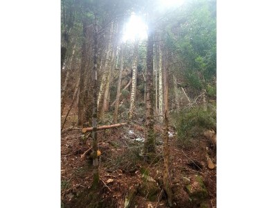 Holiday apartment Farm Turmwirt - Gala - Environment photo 38