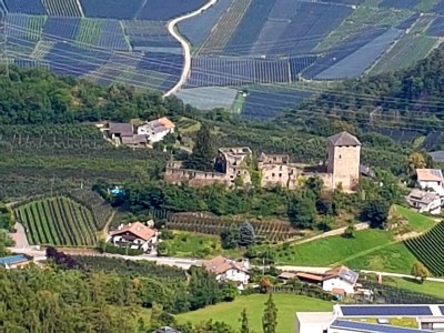 Holiday apartment Farm Turmwirt - Gala - Environment photo 40