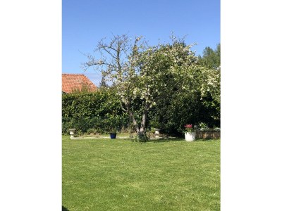 Holiday house La Maison du bonheur - Outdoor photo 23