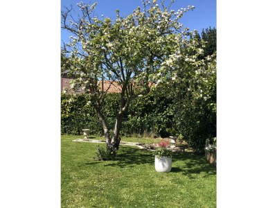 Holiday house La Maison du bonheur - Outdoor photo 31