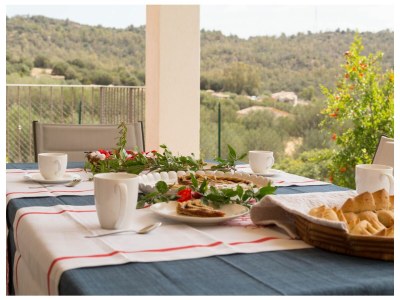 Villa STEFANINA - Sea view and private garden near Cala Sinzias Beach - Outdoor photo 6