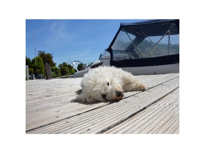 Bungalow Bungalow and boat rental - 113 AQUARONDE - - Outdoor photo 9