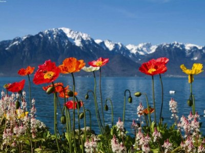 Apartment Gletscherblicke und Skipisten - Environment photo 23