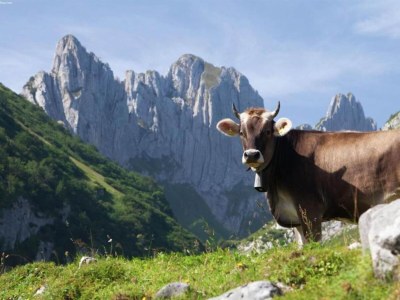 Apartment Gletscherblicke und Skipisten - Environment photo 30