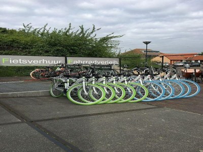Holiday house Bungalow in Breskens near Beach & Lighthouse - Environment photo 16