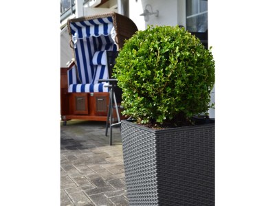 Holiday apartment Pape - Outdoor photo 5