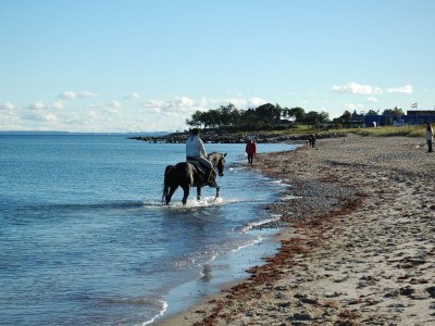 Holiday apartment Pape - Environment photo 15