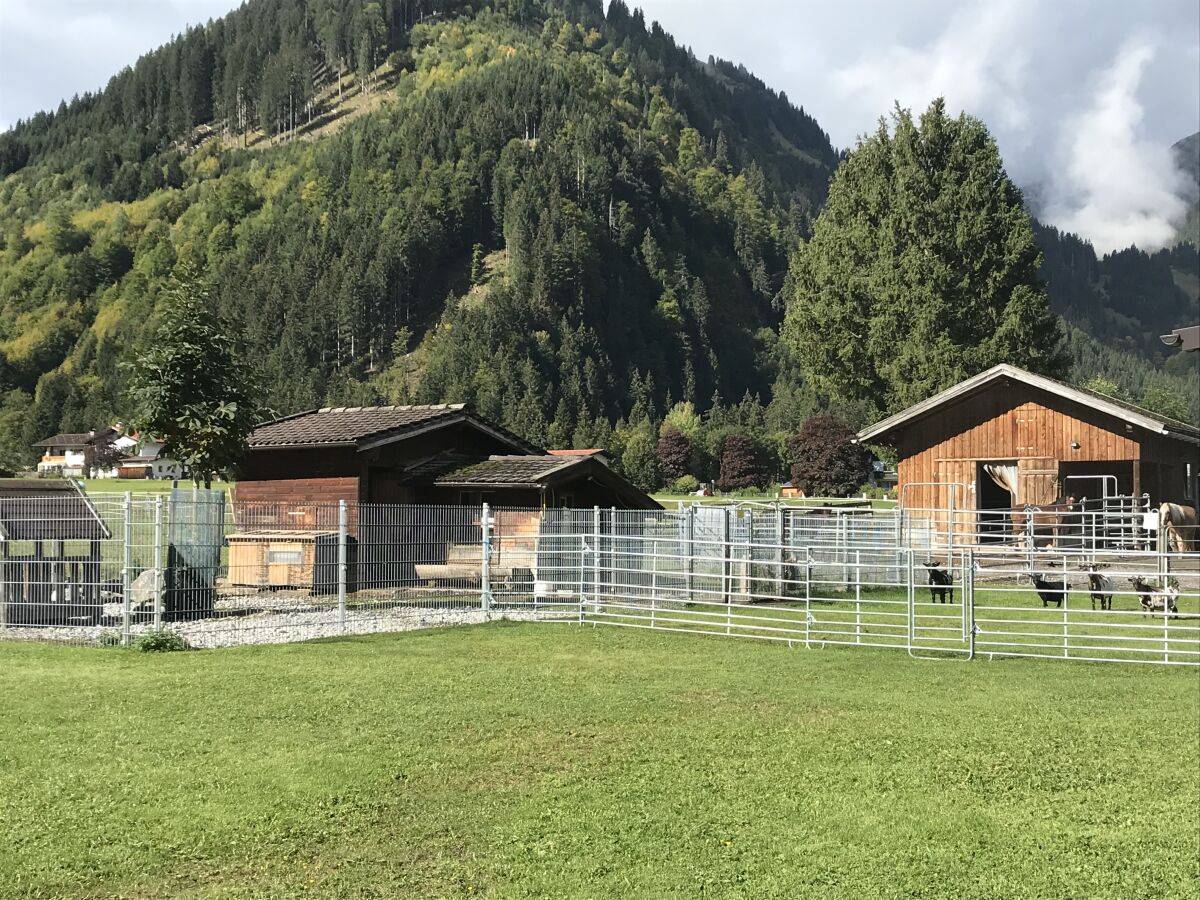 Farmhouse Holiday apartment Leitner "Pony-Goat-Rabbit Ranch" No. 2 - Outdoor photo 4