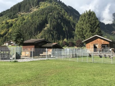 Farmhouse Holiday apartment Leitner "Pony-Goat-Rabbit Ranch" No. 2 - Outdoor photo 4