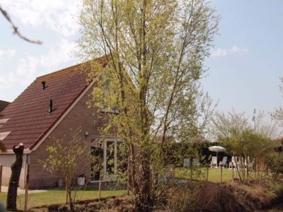 Holiday house Bungalow in Breskens near Beach and Lighthouse - Outdoor photo 8