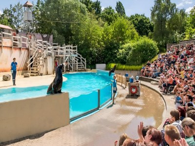 Holiday house Bungalow in Breskens with Private Jetty - Environment photo 26