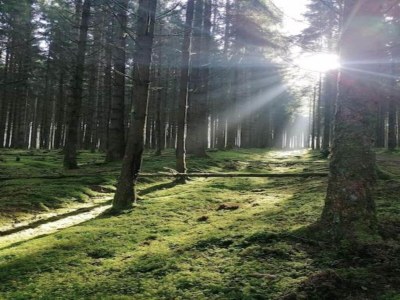 Holiday house Bungalow in Breskens with Private Jetty - Environment photo 32