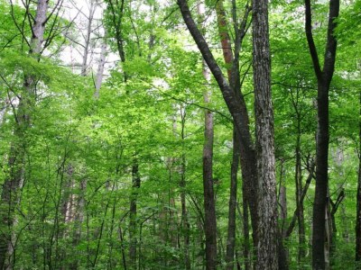 Holiday house Bungalow in Breskens with Private Jetty - Environment photo 34