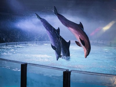 Holiday house Family Stay – Near Beach - Environment photo 21