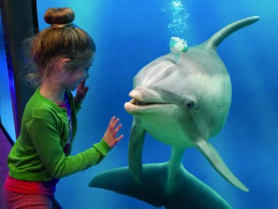 Holiday house Bungalow in Breskens near the Beach - Environment photo 14