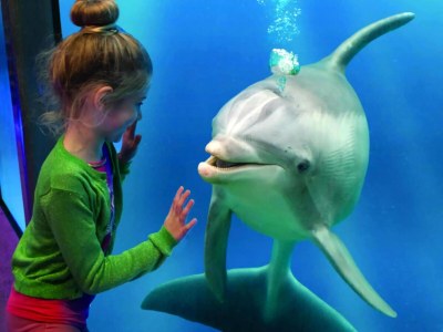 Holiday house Bungalow in Breskens nahe Strand und Dünen - Environment photo 27